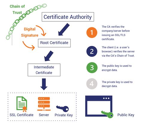 pki encryption certificate